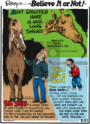 Ripley's Believe It or Not on Tuesday August 31, 2010 Comic Strip