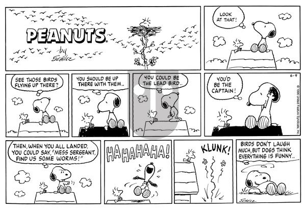 Peanuts on Sunday June 9, 1996 Comic Strip