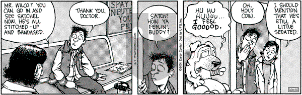 Get Fuzzy on Saturday November 10, 2001 Comic Strip