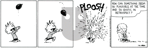 Calvin and Hobbes on Tuesday July 18, 1995 Comic Strip