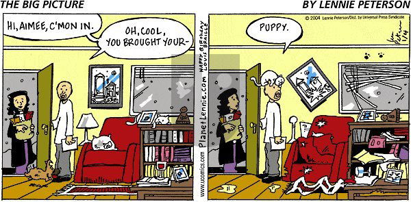 The Big Picture on Sunday May 11, 2025 Comic Strip