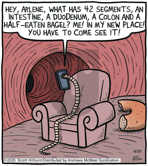 The Argyle Sweater on Friday June 20, 2025 Comic Strip