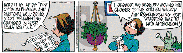 Rose is Rose on Saturday November 29, 2008 Comic Strip