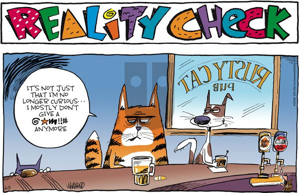 Reality Check on Sunday June 15, 2014 Comic Strip
