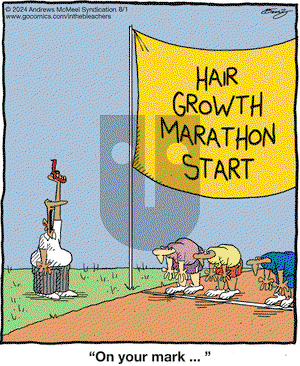 In the Bleachers - Thursday August 1, 2024 Comic Strip
