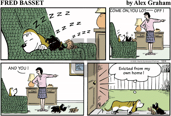 Fred Basset on Sunday December 4, 2005 Comic Strip
