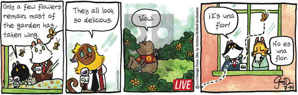 Breaking Cat News on Saturday July 14, 2018 Comic Strip