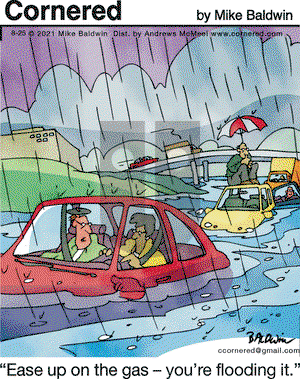 Cornered on Wednesday August 25, 2021 Comic Strip