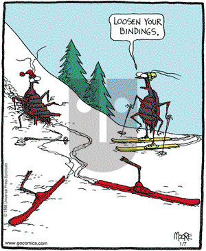 In the Bleachers on Monday January 7, 2008 Comic Strip