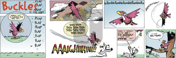 Buckles on Sunday May 25, 2025 Comic Strip