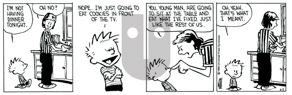 Calvin and Hobbes on Friday June 3, 1988 Comic Strip