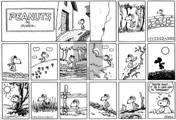 Peanuts on Sunday October 2, 1966 Comic Strip