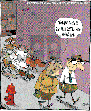 The Flying McCoys on Thursday March 7, 2019 Comic Strip