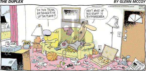 The Duplex on Sunday January 29, 2006 Comic Strip