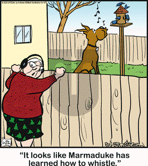 Marmaduke on Wednesday January 22, 2020 Comic Strip