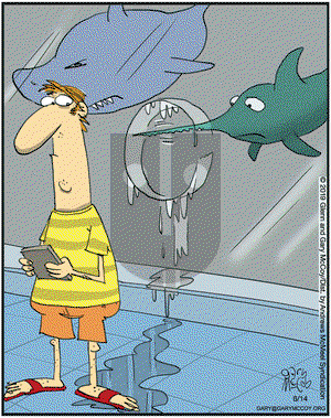 The Flying McCoys on Friday June 14, 2019 Comic Strip