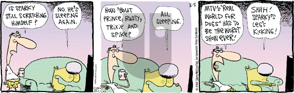 The Duplex on Monday August 5, 2002 Comic Strip