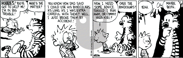 Calvin and Hobbes - Monday May 16, 1988 Comic Strip