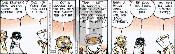 Get Fuzzy on Wednesday September 12, 2012 Comic Strip