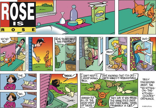Rose is Rose on Sunday March 22, 2020 Comic Strip