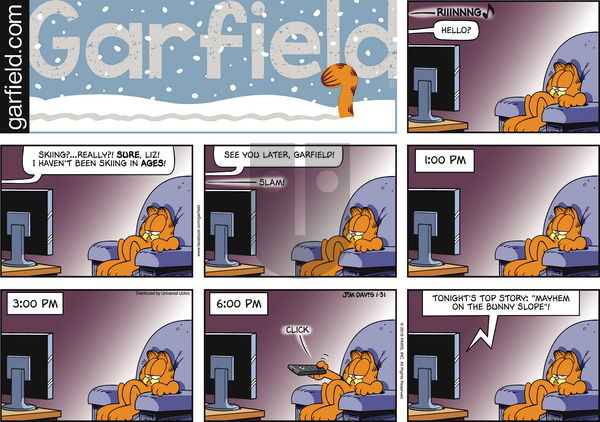 Garfield on Sunday January 31, 2016 Comic Strip