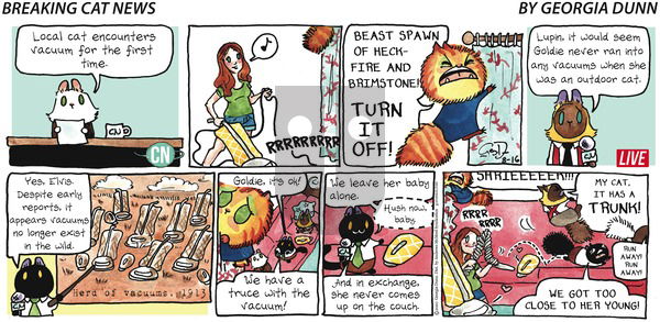 Breaking Cat News on Sunday August 16, 2020 Comic Strip