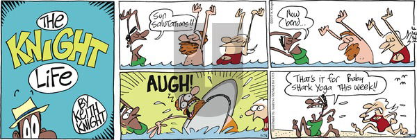 The Knight Life on Sunday June 25, 2017 Comic Strip