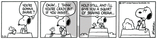 Peanuts on Thursday July 21, 1977 Comic Strip