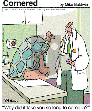 Cornered on Thursday October 11, 2018 Comic Strip