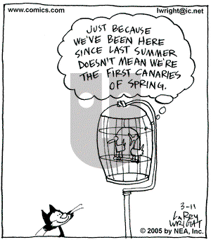 Kit 'N' Carlyle on Friday March 11, 2005 Comic Strip