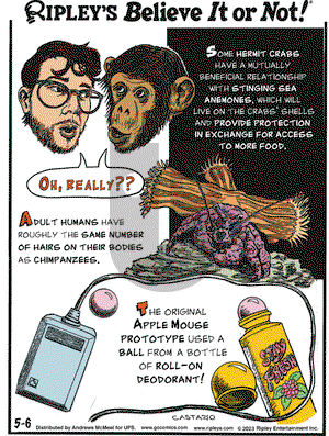 Ripley's Believe It or Not - Saturday May 6, 2023 Comic Strip