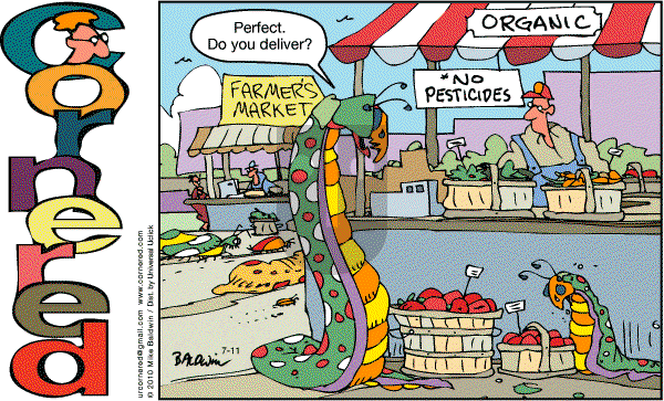 Cornered - Sunday July 11, 2010 Comic Strip