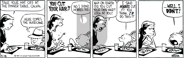 Calvin and Hobbes - Monday May 18, 1987 Comic Strip