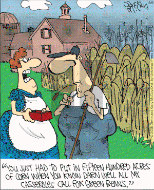 The Flying McCoys on Tuesday May 6, 2008 Comic Strip