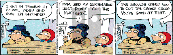 Soup to Nutz - Old on Wednesday December 31, 2008 Comic Strip