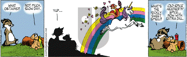 Over the Hedge on Monday April 26, 2010 Comic Strip