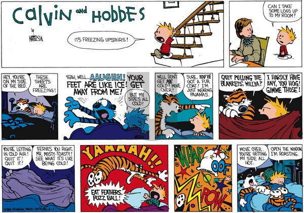Calvin and Hobbes on Sunday March 6, 1988 Comic Strip