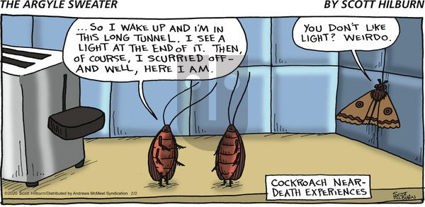 The Argyle Sweater on Sunday February 2, 2020 Comic Strip