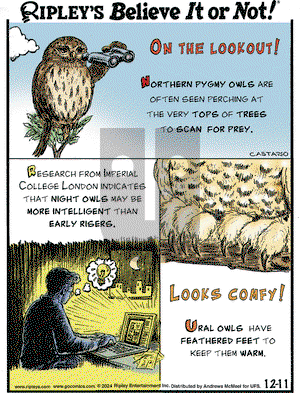 Ripley's Believe It or Not - Wednesday December 11, 2024 Comic Strip
