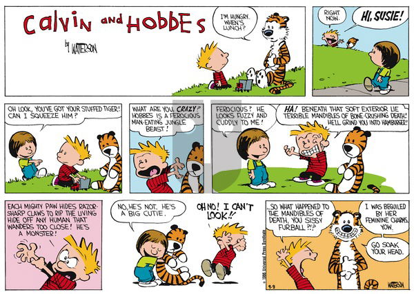 Calvin and Hobbes on Sunday November 10, 1991 Comic Strip