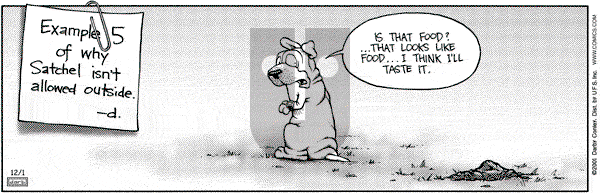 Get Fuzzy on Saturday December 1, 2001 Comic Strip