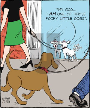 Brevity on Tuesday December 27, 2005 Comic Strip