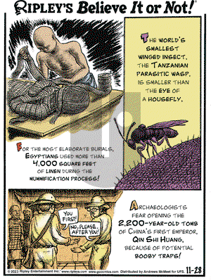 Ripley's Believe It or Not - Tuesday November 28, 2023 Comic Strip