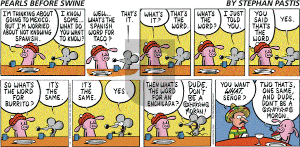 Pearls Before Swine on Sunday July 6, 2008 Comic Strip