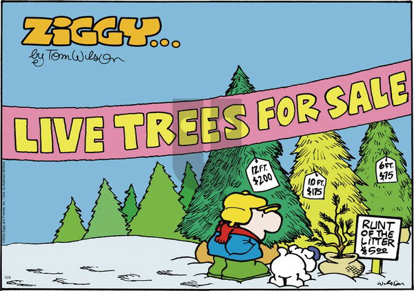 Ziggy on Sunday December 6, 2020 Comic Strip