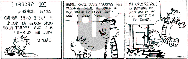 Calvin and Hobbes - Saturday August 5, 2023 Comic Strip