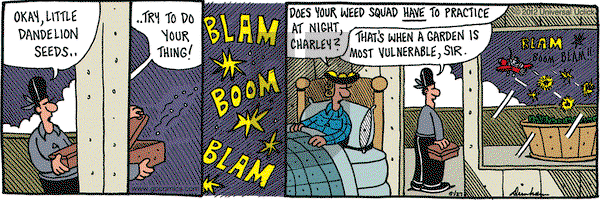 Overboard on Wednesday June 27, 2012 Comic Strip