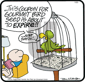 Ziggy on Saturday January 23, 2016 Comic Strip