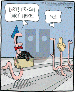In the Bleachers on Wednesday January 29, 2020 Comic Strip