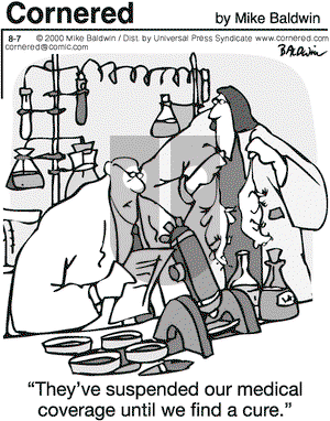 Cornered on Wednesday November 5, 2008 Comic Strip